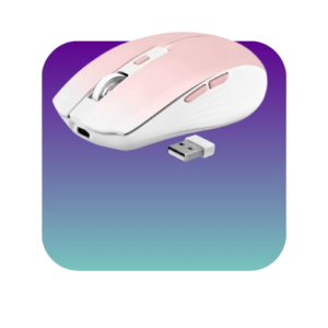 Store Professional Wireless Mouse