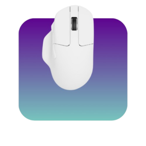 Store Wireless Mouse